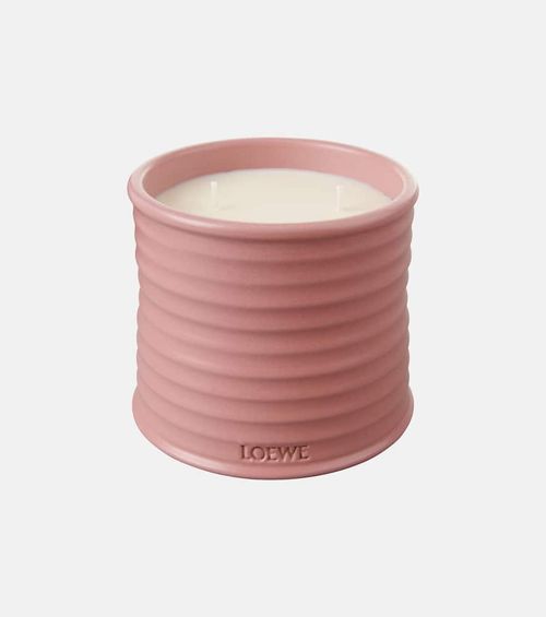 Loewe Home Scents Ivy Medium...