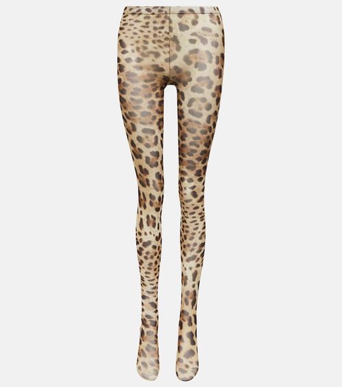 Dolce & Gabbana Leopard-print...