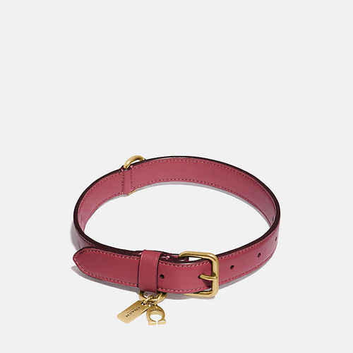 Large Pet Collar in Pink