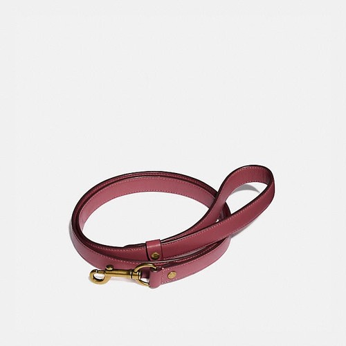 Large Pet Leash in Pink