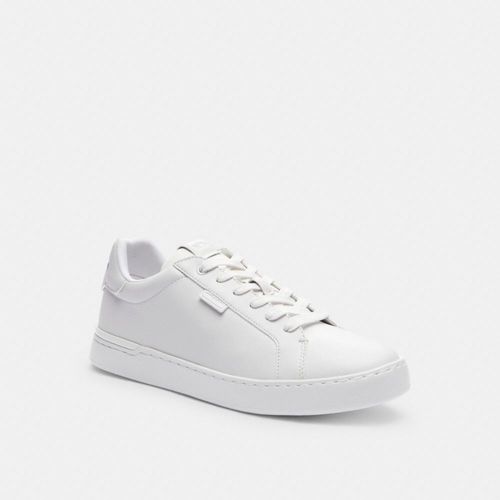 Lowline Low Top Sneaker