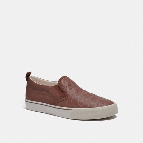 Skate Slip On Sneaker In...