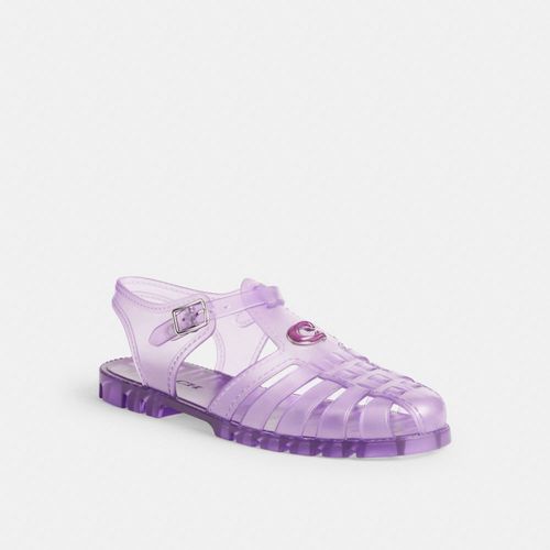 Jelly Fisherman Sandal