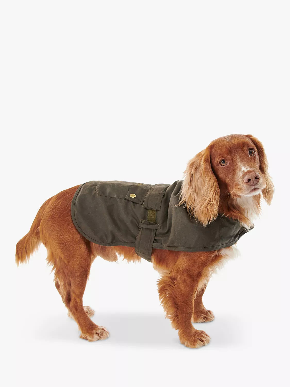 Barbour landrover dog sale coat