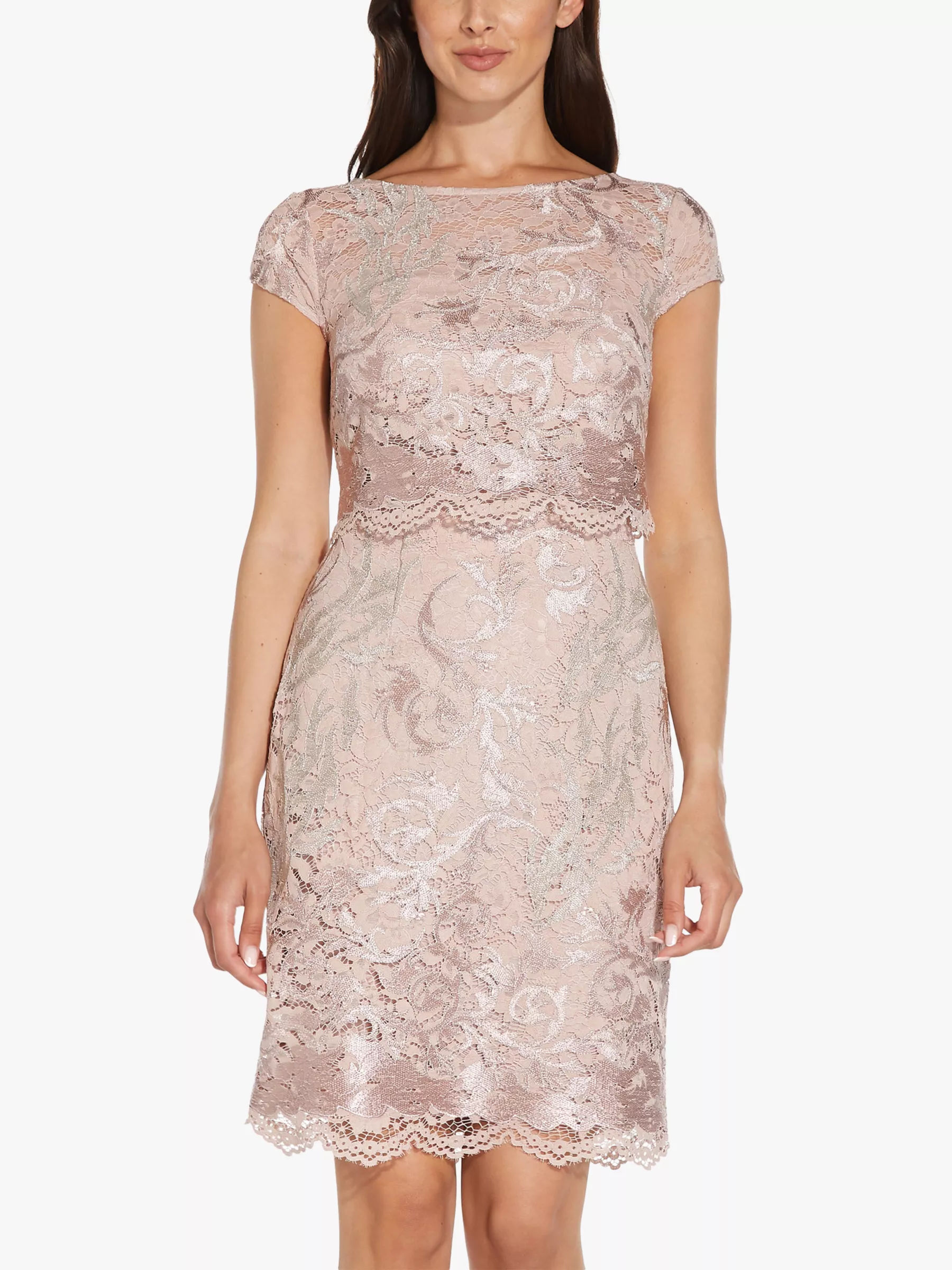 Adrianna Papell Embroidered Lace Dress Dusty Rose 150.00