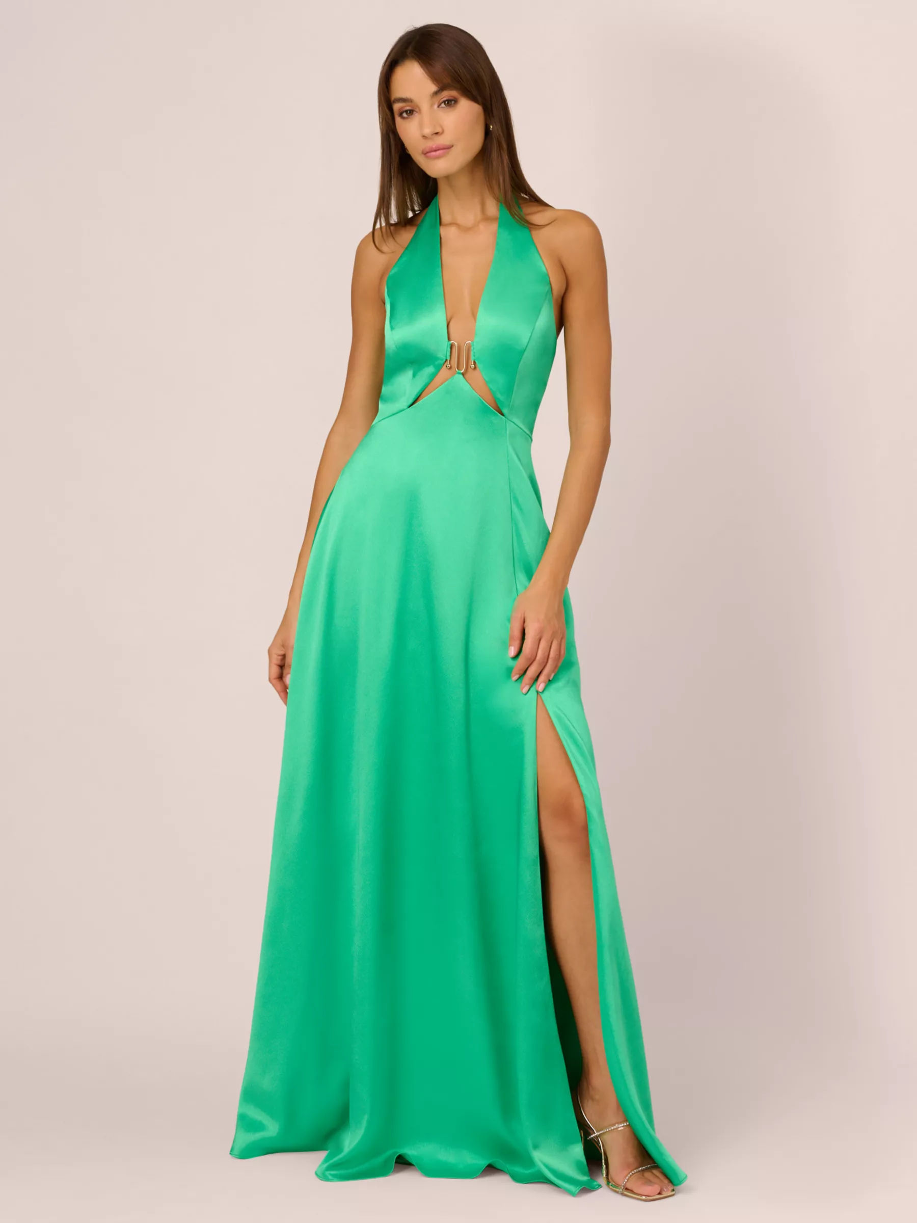 Adrianna by Adrianna Papell Liquid Satin A Line Maxi Dress Flora