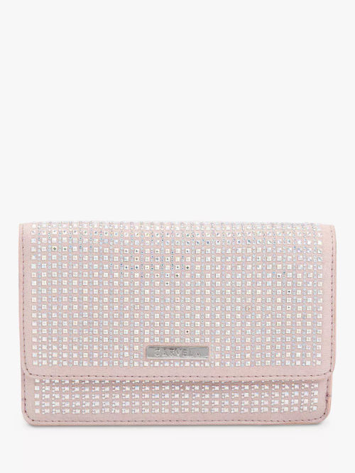 Carvela Kianni Jewel Clutch...