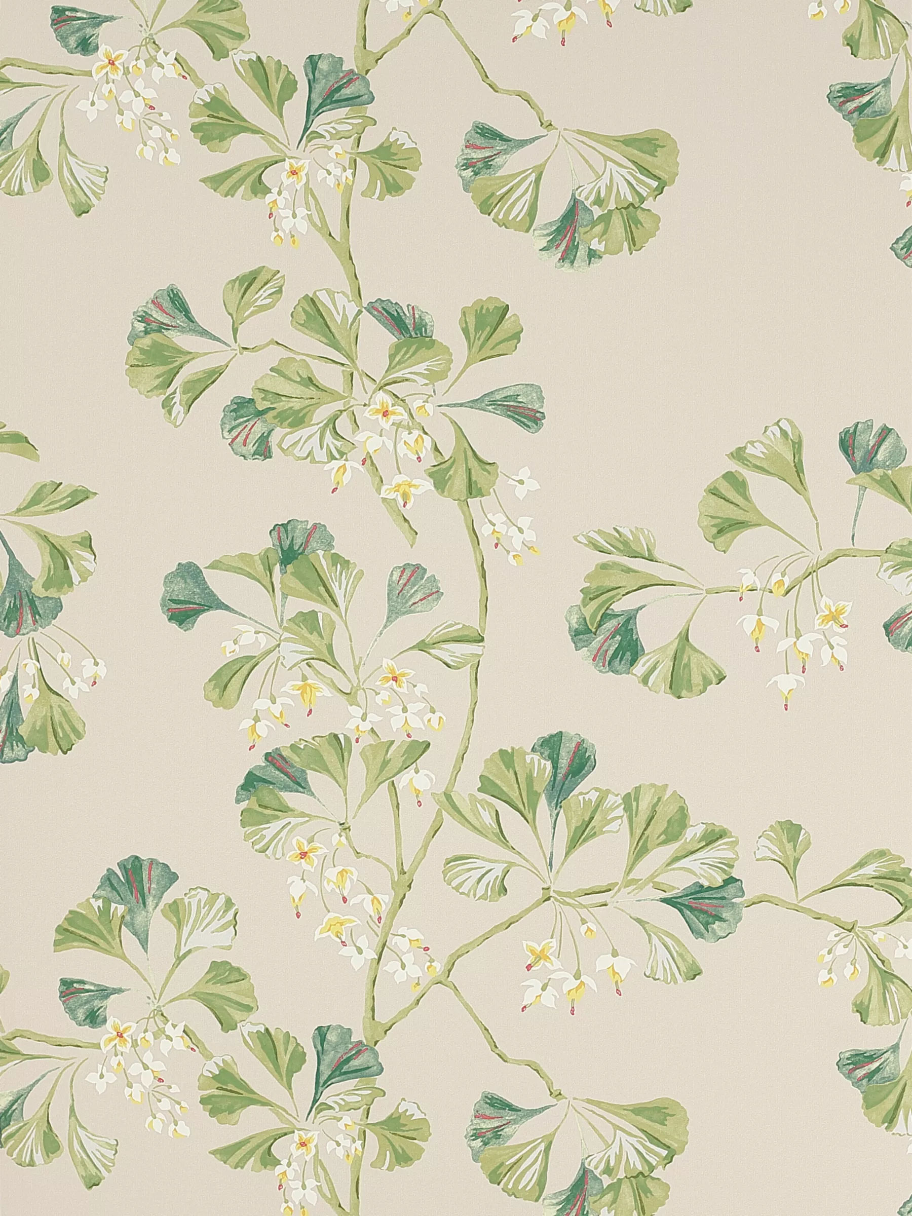 Traditional wallpaper - BERWICK - Colefax & Fowler - floral