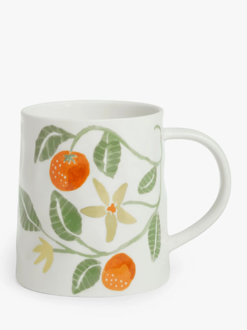 John Lewis Orangery Oranges...