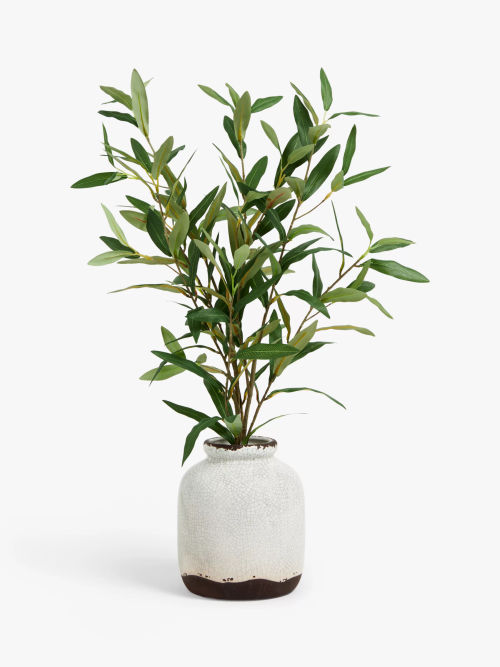 John Lewis Artificial Olive...