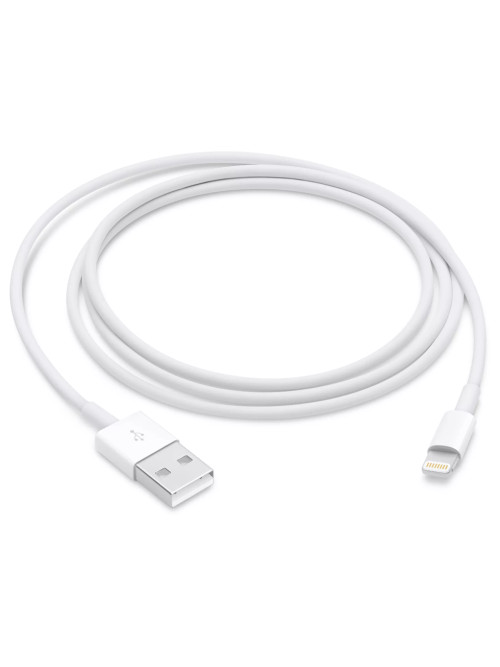 Apple Lightning to USB Cable...