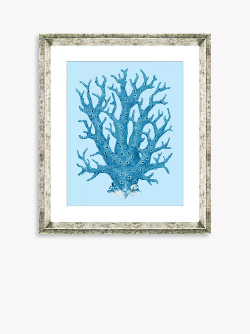 Blue Coral 8 - Framed Print &...