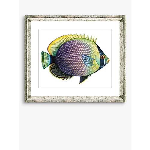 Tropical Fish 6 - Framed...