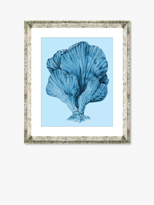 Blue Coral 3 - Framed Print &...