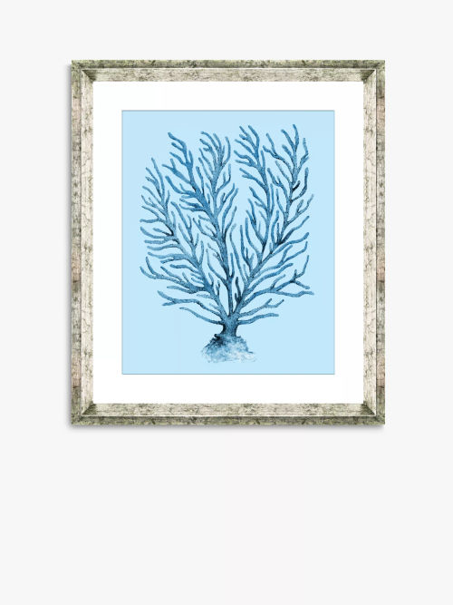 Blue Coral 9 - Framed Print &...