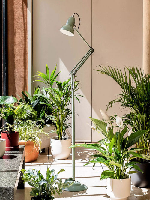 Anglepoise + National Trust...