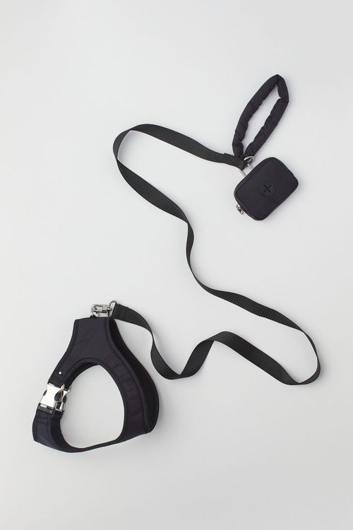 H & M - Dog harness with a...