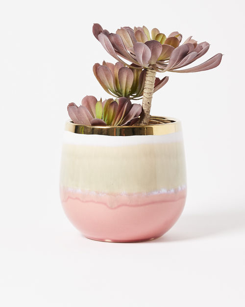 Laine Pink Ceramic & Gold...