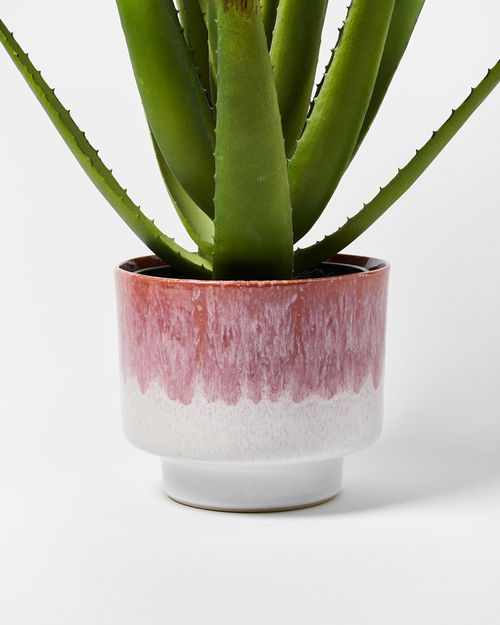 Ari Pink Ceramic Plant Pot...