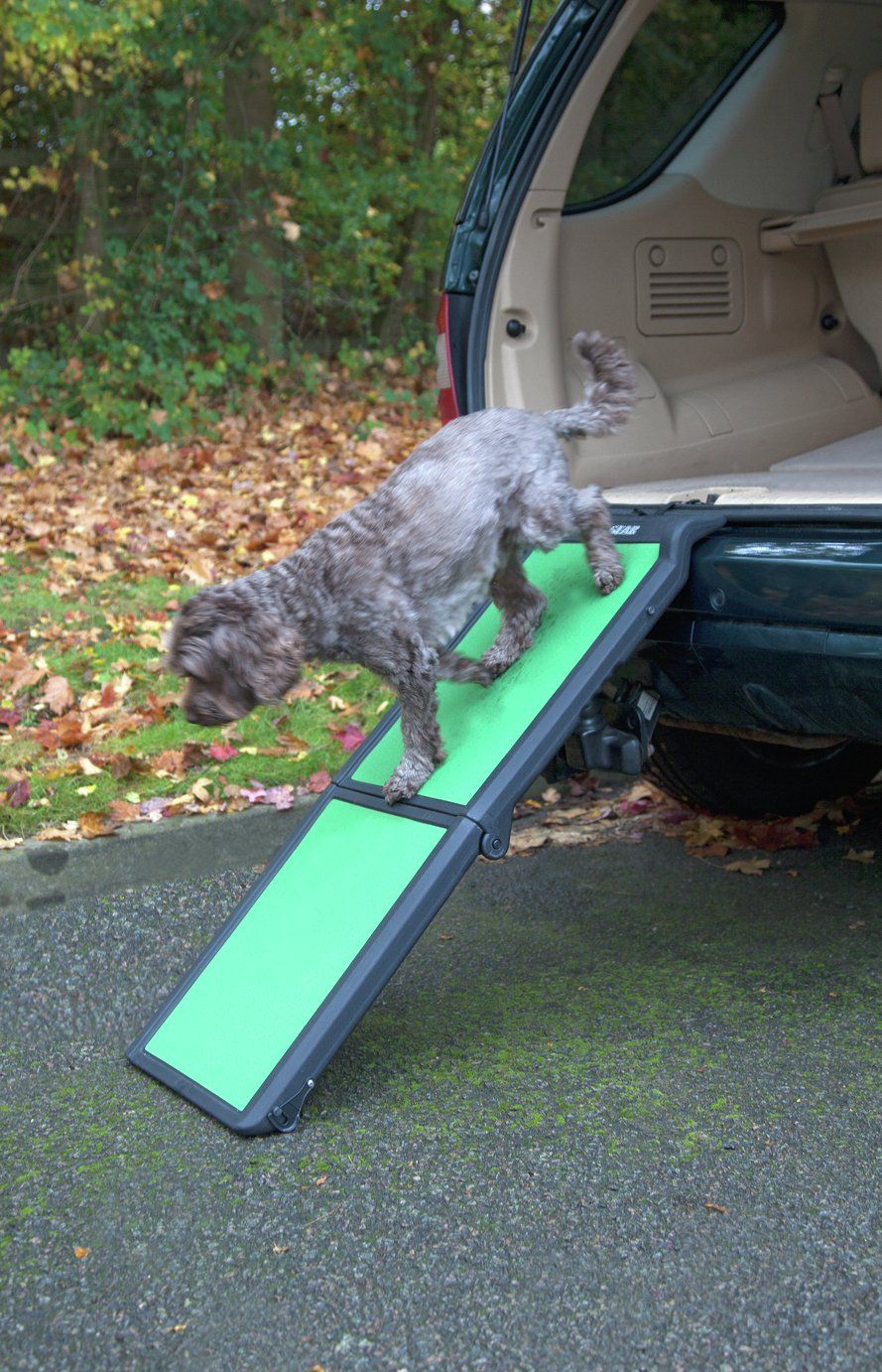 argos pet ramp