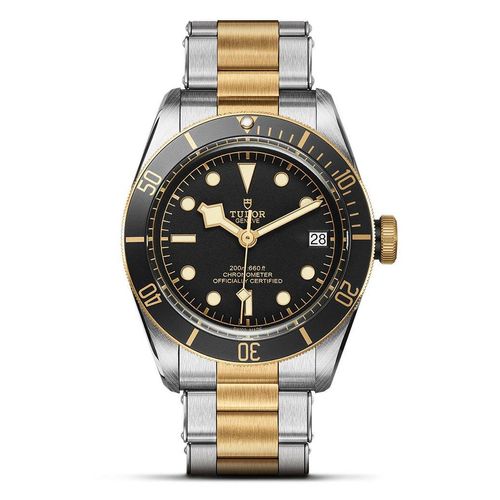 Tudor Black Bay S&G 41...