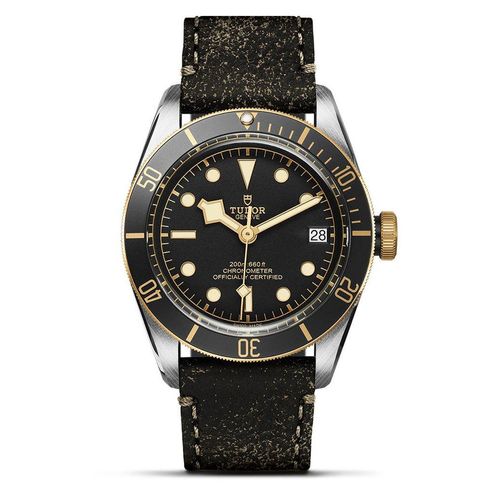 Tudor Black Bay S&G 41...