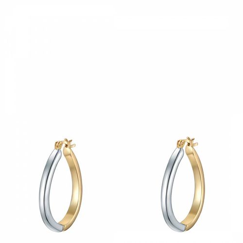 Silver/ Gold Hoop Earrings