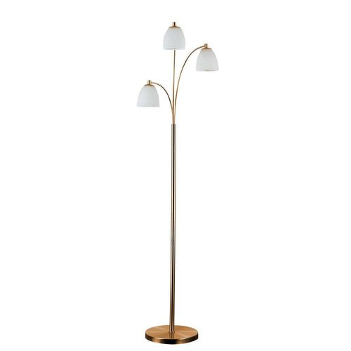 Dantzig Copper Floor Lamp