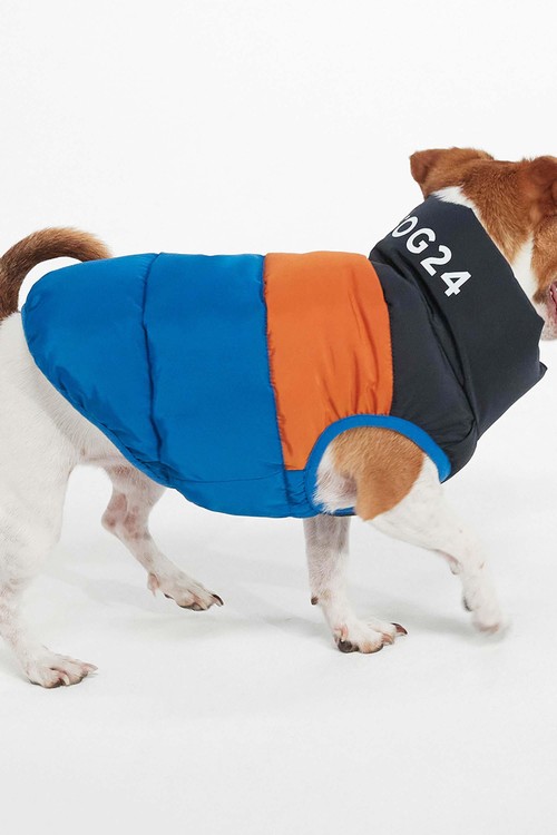 'Pooch' Padded Dog Coat