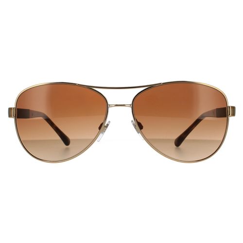 Aviator Gold Brown Brown...