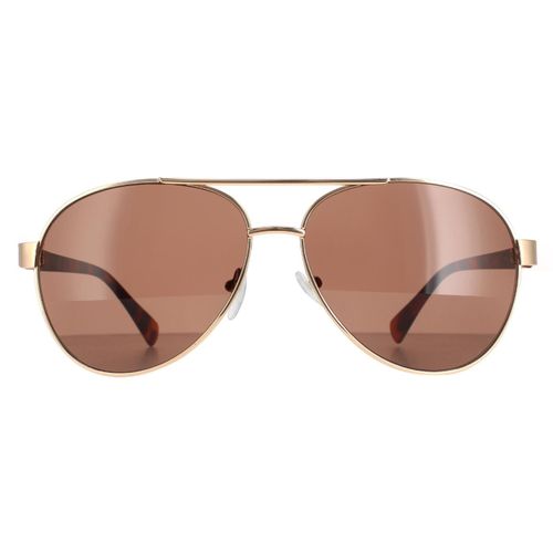 Aviator Gold Brown CK19316S