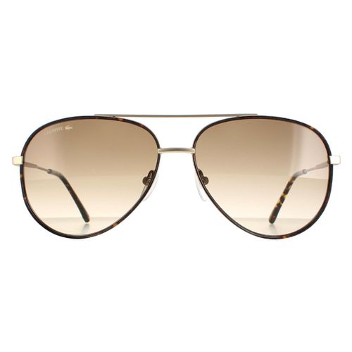 Aviator Matte Gold Brown...