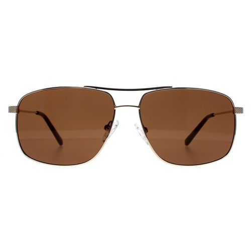 Aviator Gold Brown GF0205