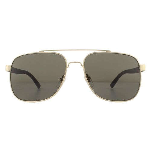 Aviator Gold Brown Sunglasses