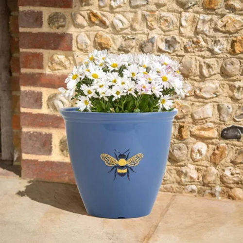 Bee Planter - Weather...