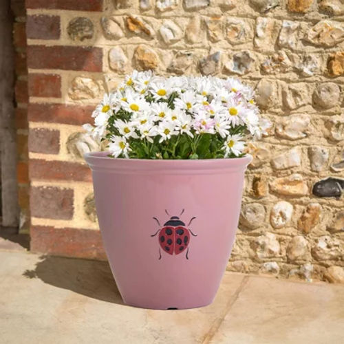 Ladybird Design Planter -...