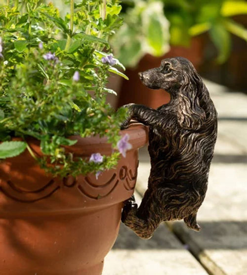 Jardinopia Cocker Spaniel...