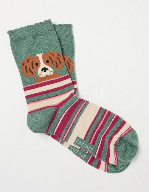 1 Pack Dog Stripe Socks