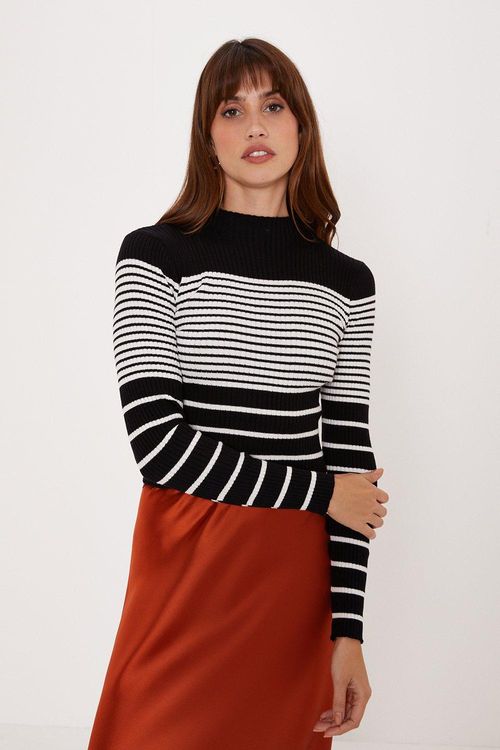 Mixed Stripe Funnel Neck Rib...