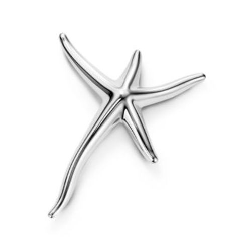 Elsa Peretti Starfish brooch...