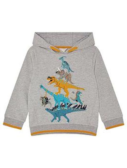 Monsoon Boys Dinosaur Hoodie...