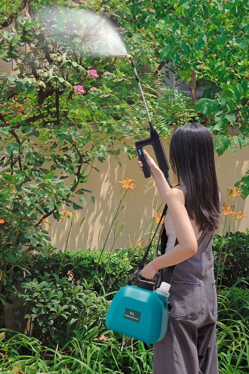 5L Electric Sprayer USB...