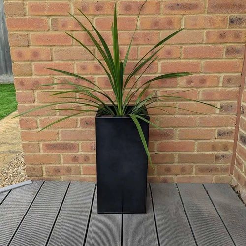50cm Zinc Platinum Black Tall...