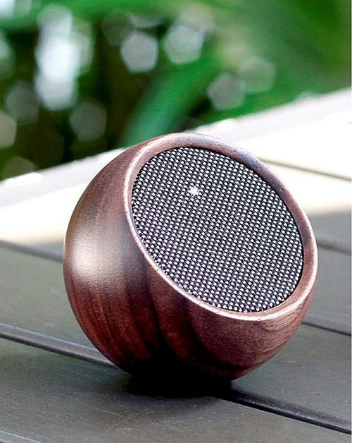 Gingko Walnut Speaker