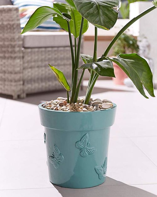 Butterfly Embossed Planter