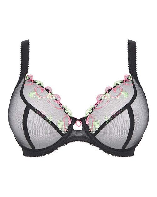 Loveland Underwire Plunge