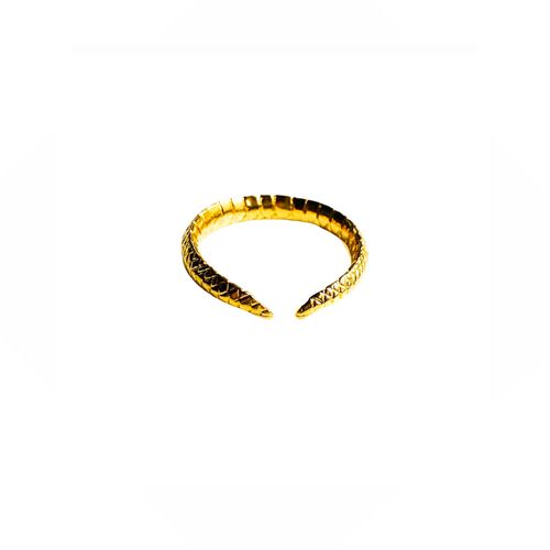 Women's Edge Ring -Gold Aki...