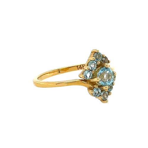 Women's Glinda Gold & Blue...