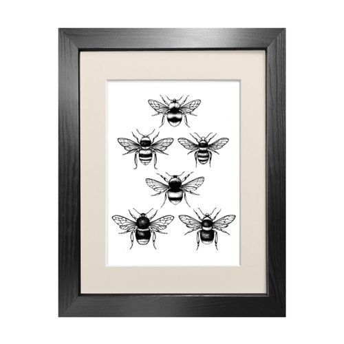 Black 'British Bees' - Fine...