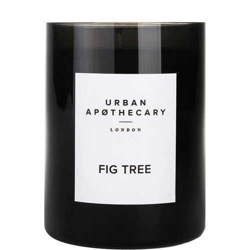 Urban Apothecary Fig Tree...